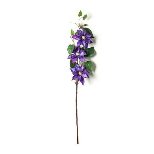 Purple Tropical Clematis Stem by Ashland&#xAE;